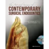 The Art and Science of Contemporary Surgical Endodontics